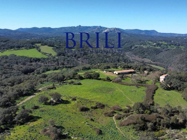 terreno agricolo in vendita a Tempio Pausania