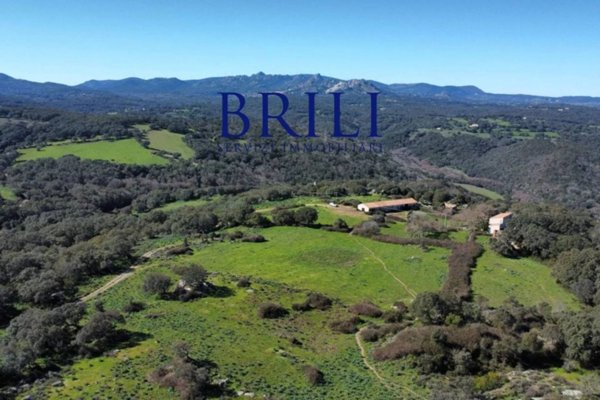 terreno agricolo in vendita a Tempio Pausania