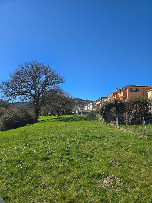 terreno agricolo in vendita a Tempio Pausania