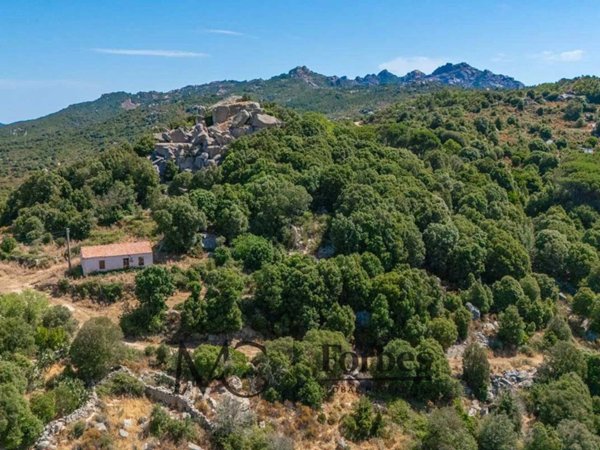 terreno agricolo in vendita a Tempio Pausania