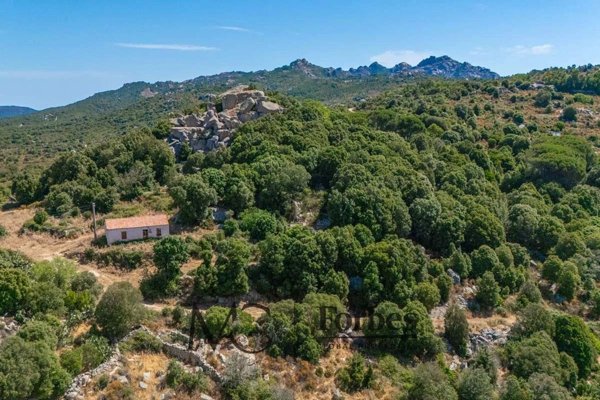 terreno edificabile in vendita a Tempio Pausania
