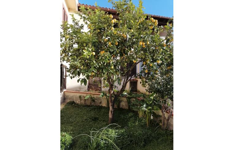 appartamento in vendita a Tissi