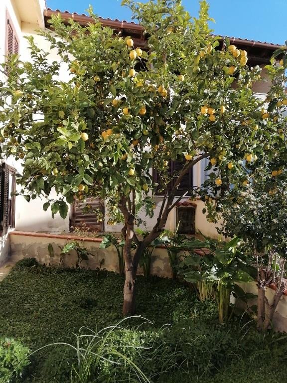 appartamento in vendita a Tissi