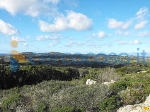terreno agricolo in vendita a Tissi