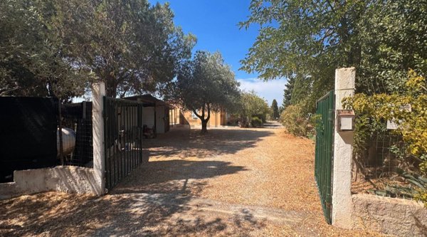 casa indipendente in vendita a Tissi
