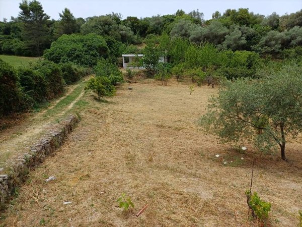 casa indipendente in vendita a Tissi