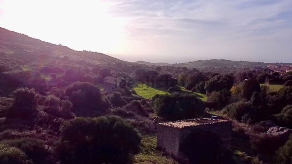 appartamento in vendita a Trinità d'Agultu e Vignola