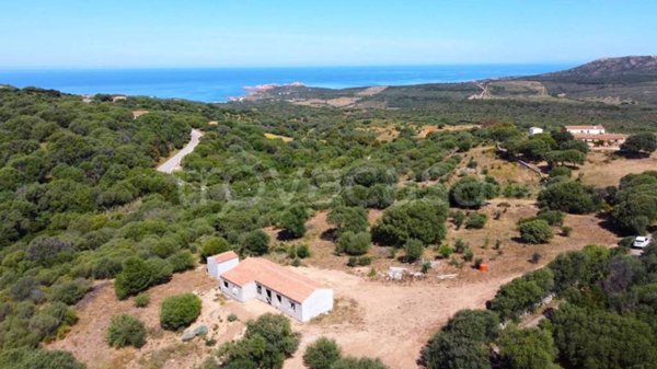casa indipendente in vendita a Trinità d'Agultu e Vignola in zona Paduledda