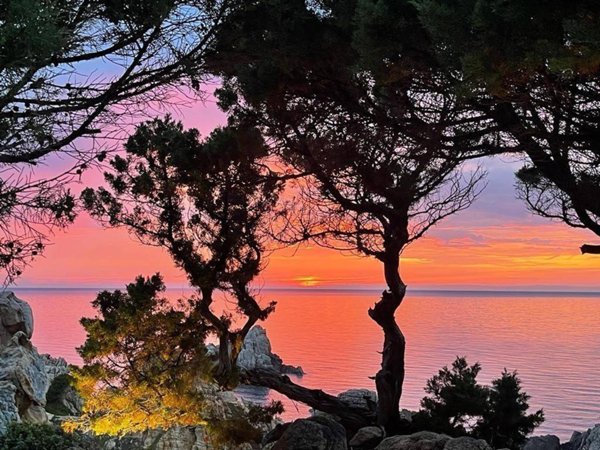 casa indipendente in vendita a Trinità d'Agultu e Vignola in zona Costa Paradiso