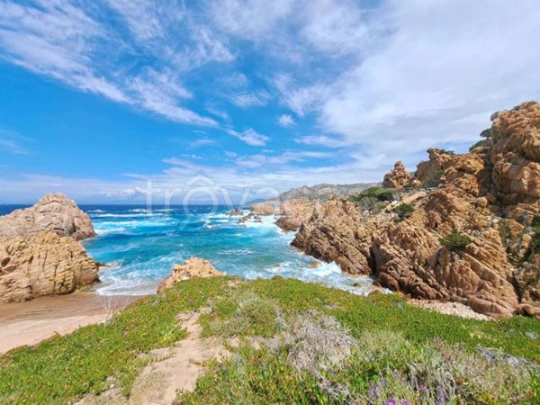 appartamento in vendita a Trinità d'Agultu e Vignola in zona Costa Paradiso