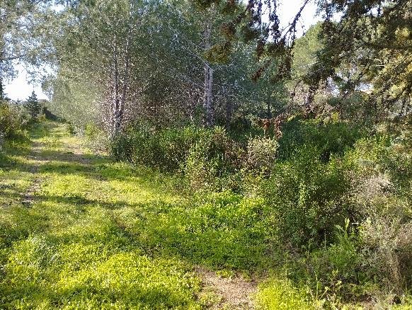 casa indipendente in vendita a Trinità d'Agultu e Vignola