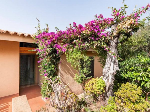 casa indipendente in vendita a Trinità d'Agultu e Vignola in zona Costa Paradiso