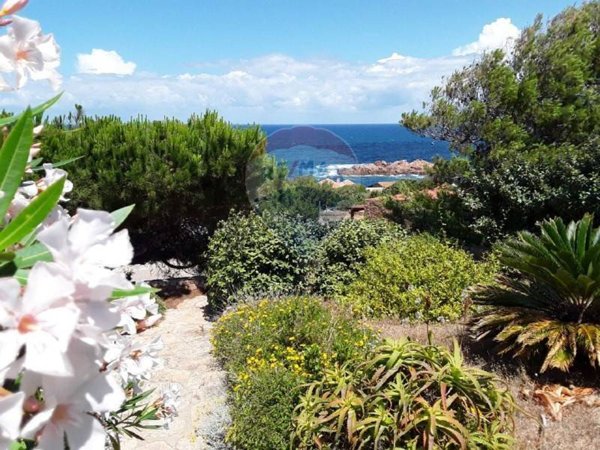 casa indipendente in vendita a Trinità d'Agultu e Vignola in zona Costa Paradiso
