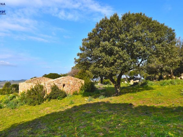 casa indipendente in vendita a Trinità d'Agultu e Vignola in zona Costa Paradiso