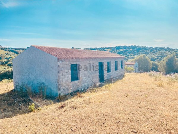 appartamento in vendita a Trinità d'Agultu e Vignola in zona Isola Rossa
