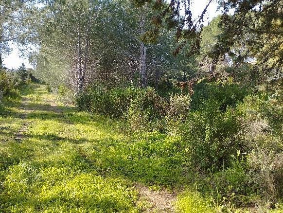 casa indipendente in vendita a Trinità d'Agultu e Vignola
