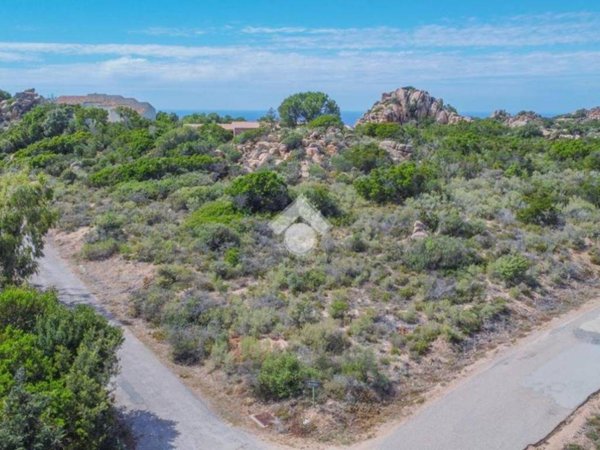 terreno agricolo in vendita a Trinità d'Agultu e Vignola in zona Costa Paradiso