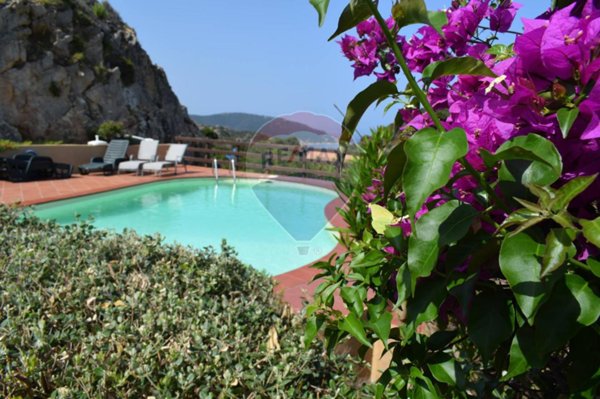 casa indipendente in vendita a Trinità d'Agultu e Vignola in zona Costa Paradiso