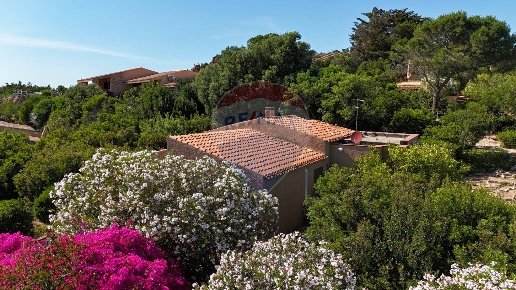 casa indipendente in vendita a Trinità d'Agultu e Vignola in zona Costa Paradiso