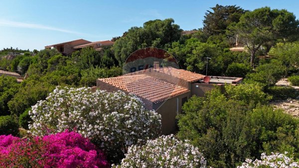 casa indipendente in vendita a Trinità d'Agultu e Vignola in zona Costa Paradiso