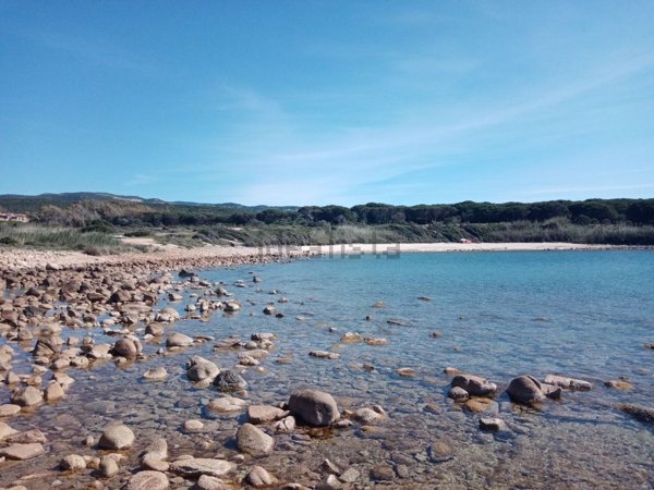 locale commerciale in vendita a Trinità d'Agultu e Vignola