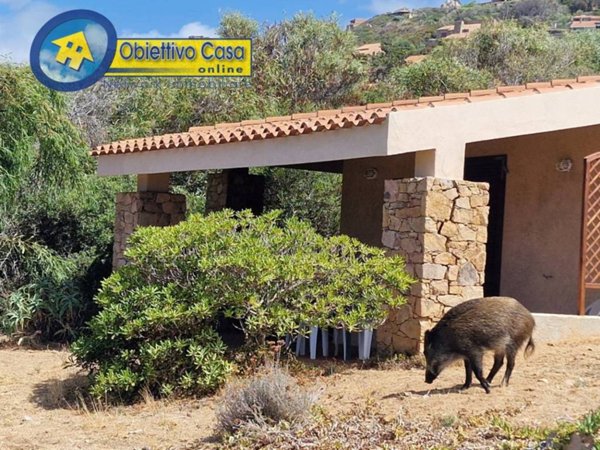 casa indipendente in vendita a Trinità d'Agultu e Vignola in zona Costa Paradiso