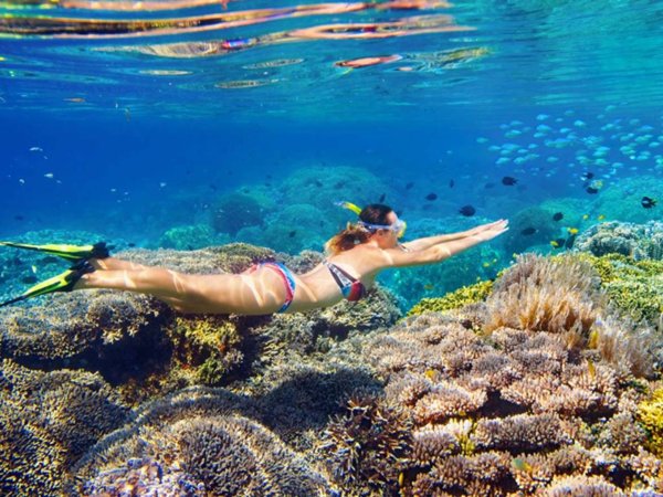 immagine annuncio 0 di 5