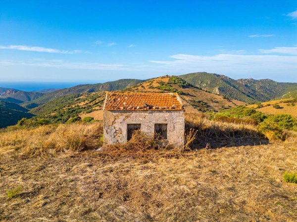 terreno agricolo in vendita a Trinità d'Agultu e Vignola