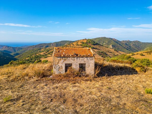 terreno agricolo in vendita a Trinità d'Agultu e Vignola