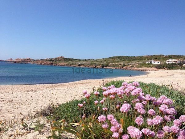 appartamento in vendita a Trinità d'Agultu e Vignola