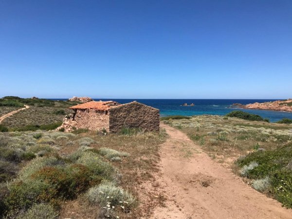 casa indipendente in vendita a Trinità d'Agultu e Vignola