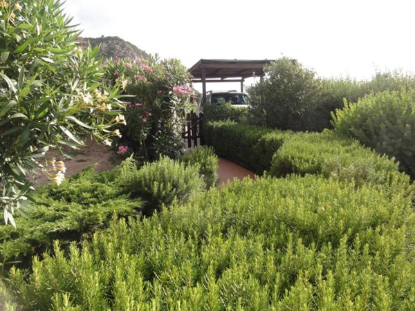 casa indipendente in vendita a Trinità d'Agultu e Vignola in zona Costa Paradiso