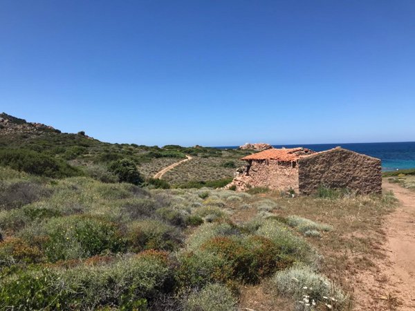 casa indipendente in vendita a Trinità d'Agultu e Vignola