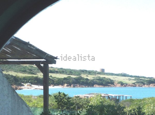 esavano in vendita a Trinità d'Agultu e Vignola