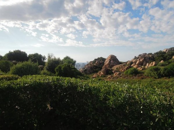 casa indipendente in vendita a Trinità d'Agultu e Vignola