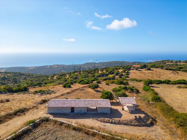 pentavano in vendita a Trinità d'Agultu e Vignola