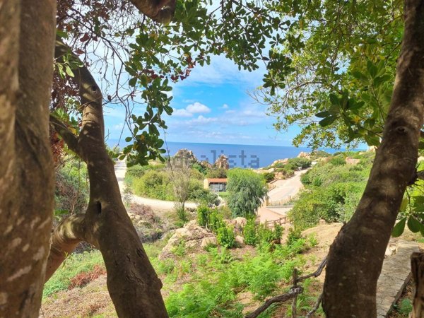 esavano in vendita a Trinità d'Agultu e Vignola in zona Costa Paradiso