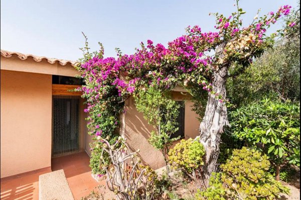 casa indipendente in vendita a Trinità d'Agultu e Vignola in zona Costa Paradiso