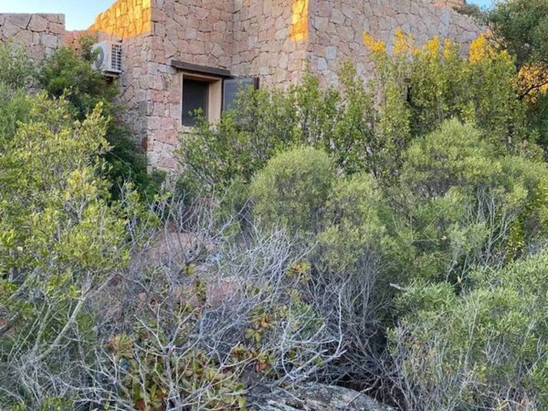 casa indipendente in vendita a Trinità d'Agultu e Vignola in zona Costa Paradiso