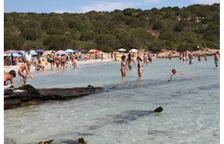 appartamento in vendita a Trinità d'Agultu e Vignola in zona Isola Rossa