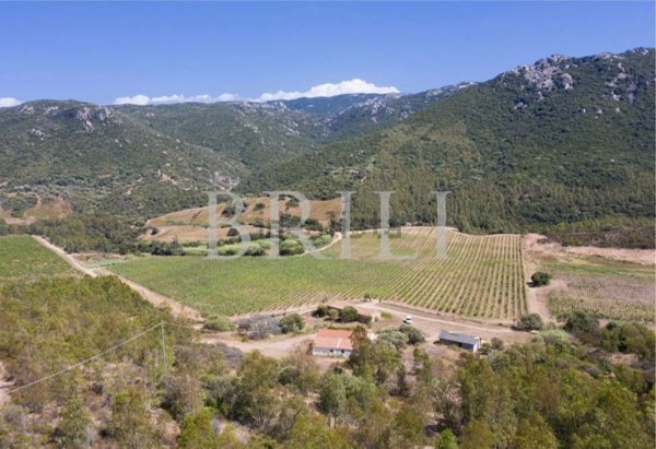 appartamento in vendita a Trinità d'Agultu e Vignola