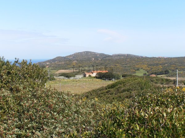 appartamento in vendita a Trinità d'Agultu e Vignola