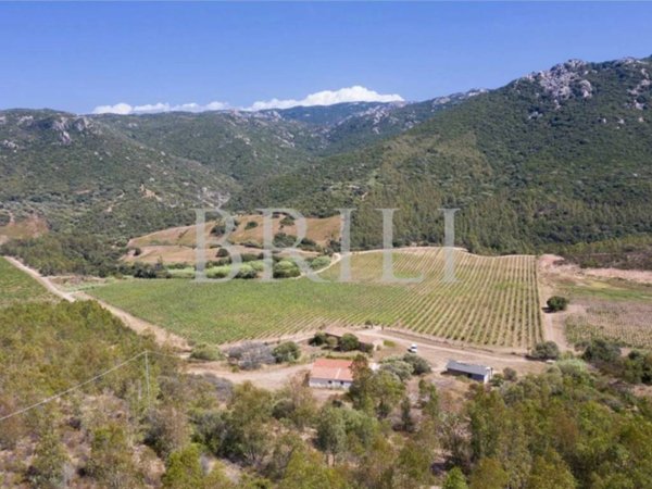 casa indipendente in vendita a Trinità d'Agultu e Vignola