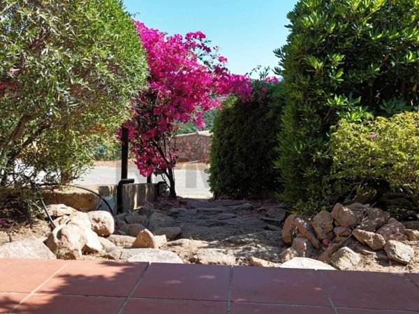 casa indipendente in vendita a Trinità d'Agultu e Vignola in zona Costa Paradiso
