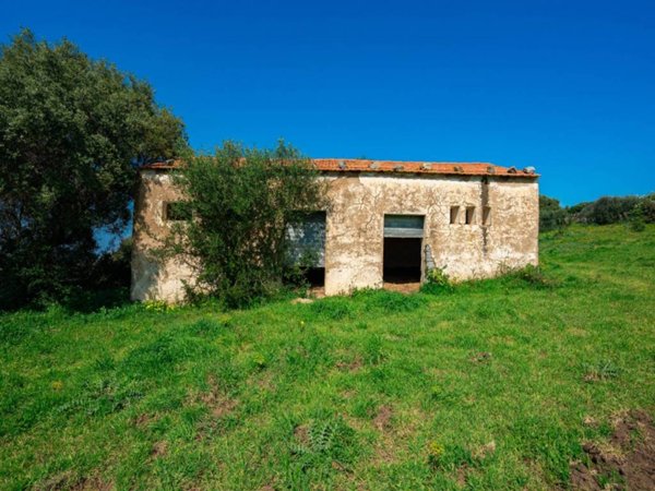casa indipendente in vendita a Trinità d'Agultu e Vignola in zona Paduledda