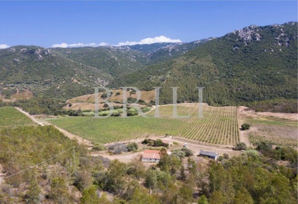 albergo in vendita a Trinità d'Agultu e Vignola in zona Paduledda