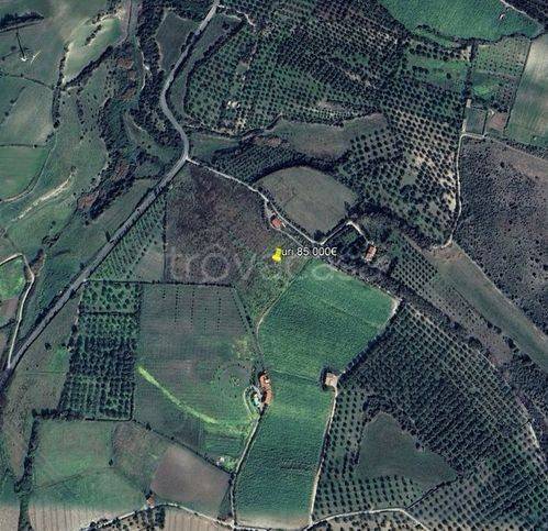 terreno agricolo in vendita ad Uri