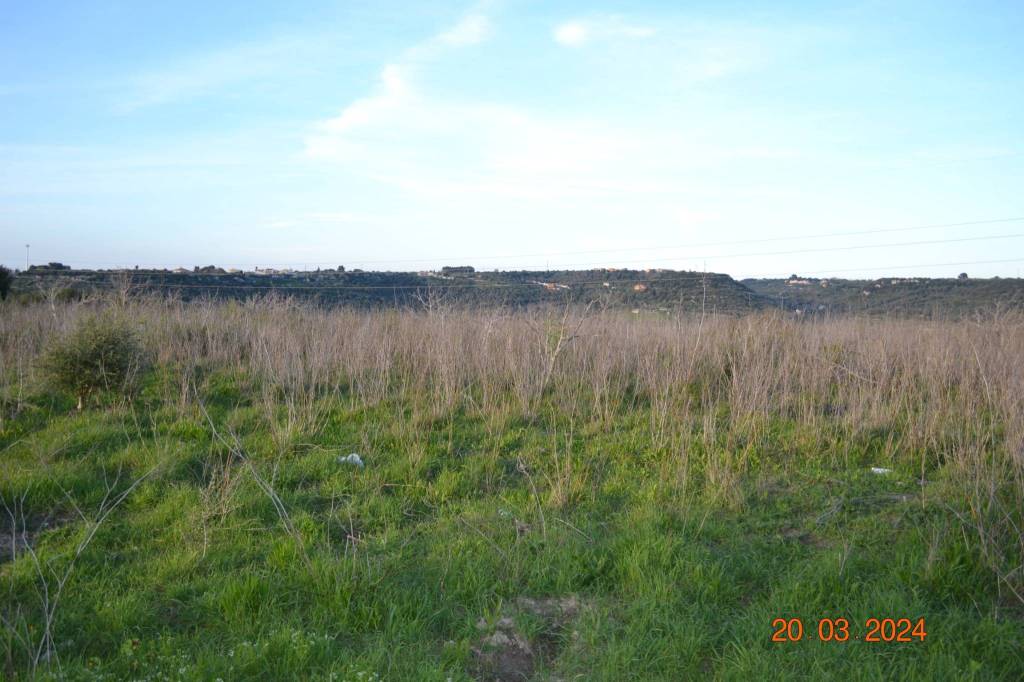 terreno agricolo in vendita ad Usini