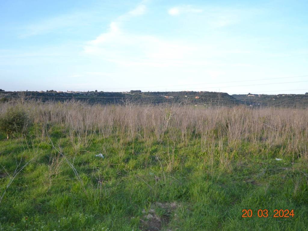 terreno agricolo in vendita ad Usini