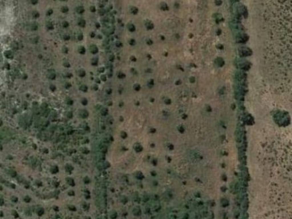 terreno agricolo in vendita ad Usini